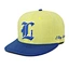 Stylish adjustable hat